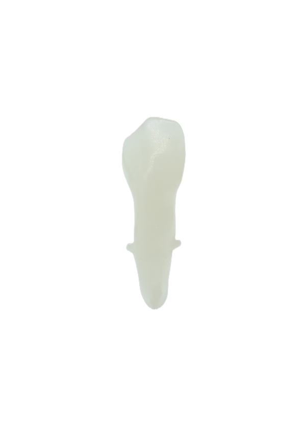 EndoPrep® 43 Numara Opak Diş